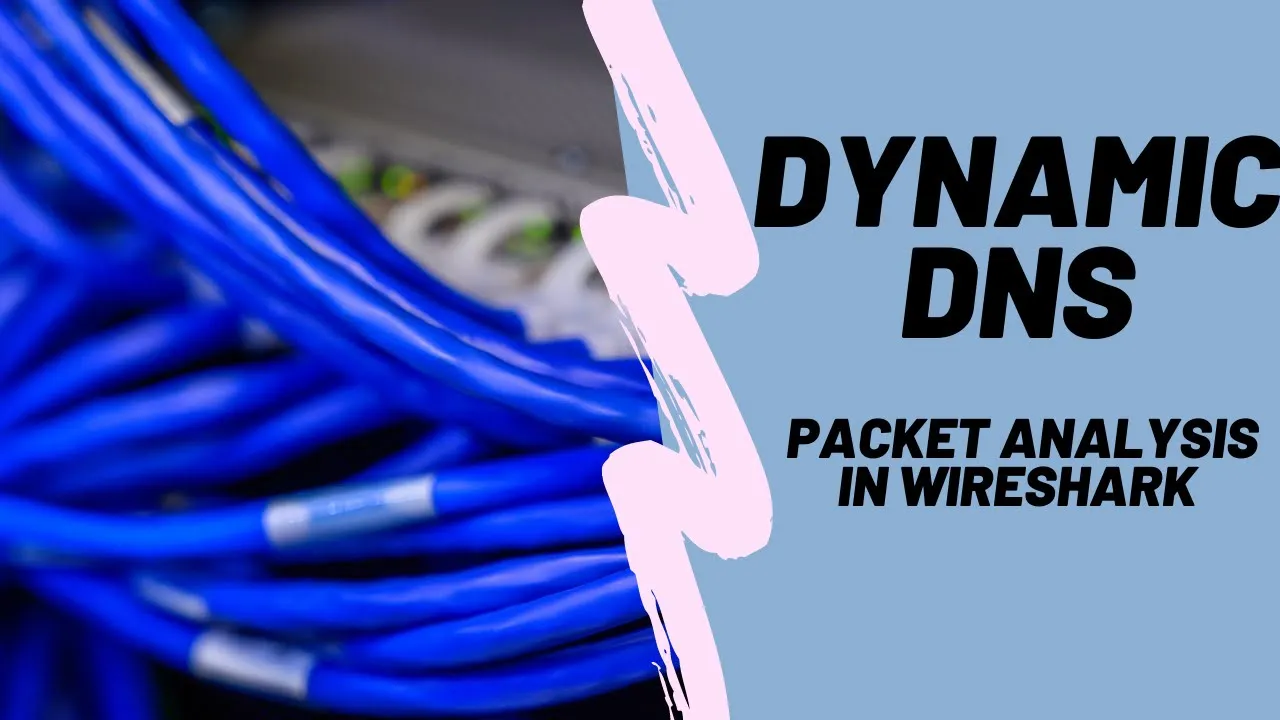 Dynamic DNS Packet Capture Wireshark Analysis
