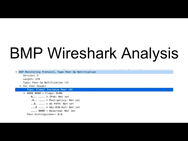 BGP Monitoring Protocol(BMP) Message Types in Wireshark