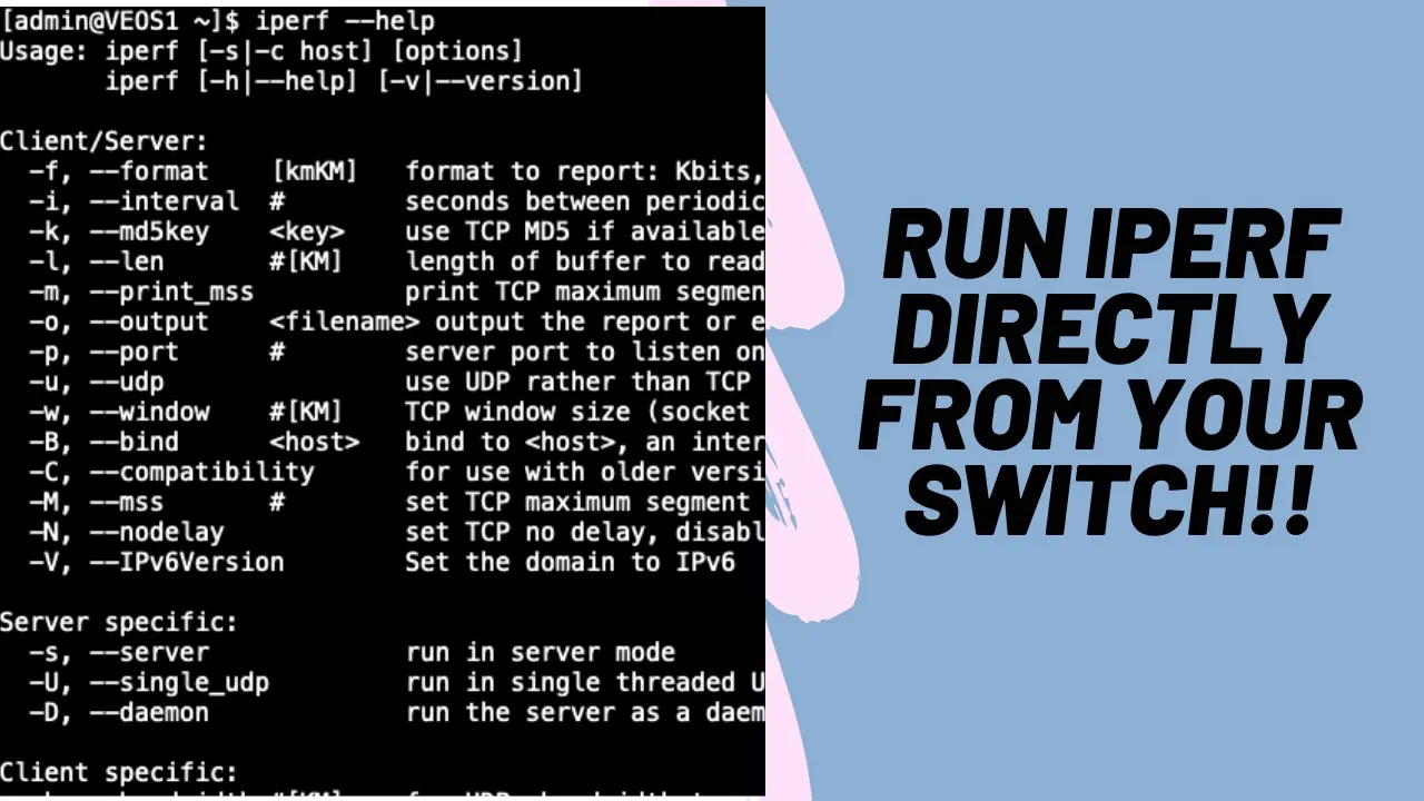 Arista EOS and iPerf for Link Testing