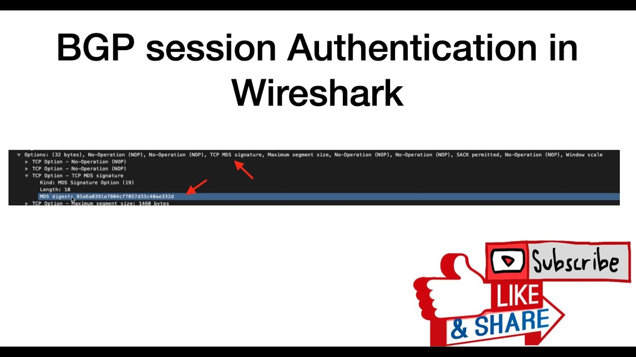Border Gateway Protocol(BGP)  Authentication  - Theory, Configuration and Packet Captures