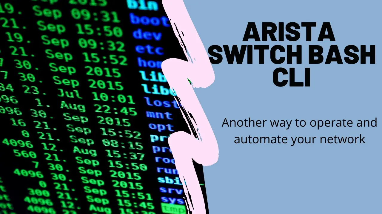 Arista Switch Linux BASH CLI 