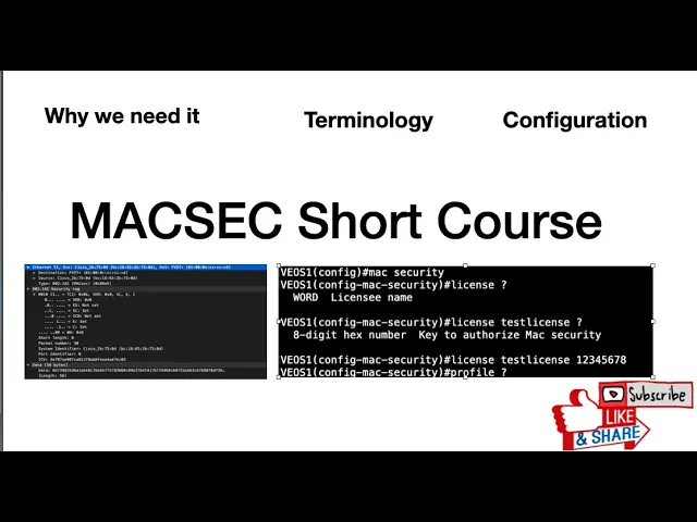 Arista MACSEC(802.1AE)